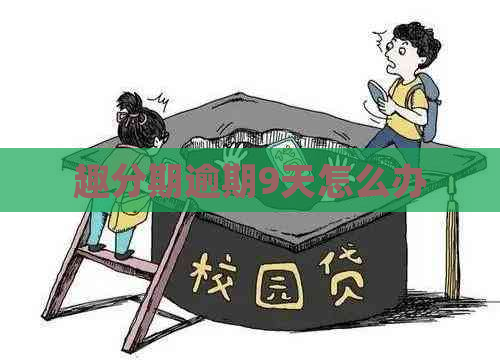 趣分期逾期9天怎么办