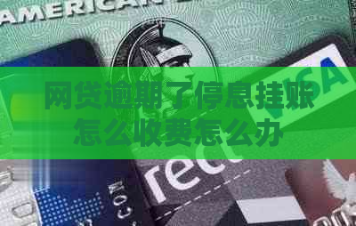 网贷逾期了停息挂账怎么收费怎么办