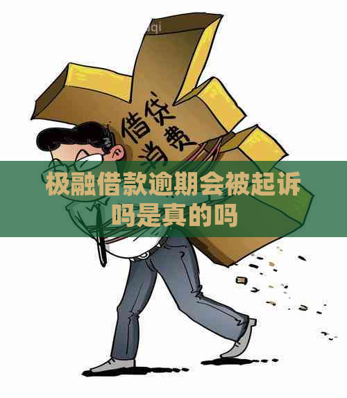 极融借款逾期会被起诉吗是真的吗