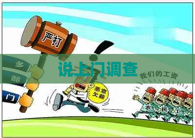 说上门调查