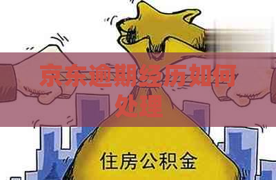 京东逾期经历如何处理