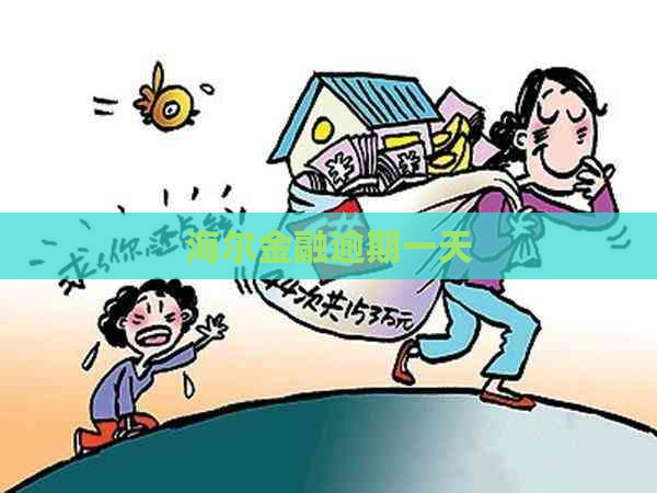 海尔金融逾期一天