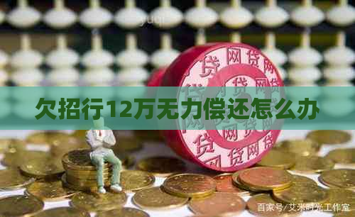 欠招行12万无力偿还怎么办