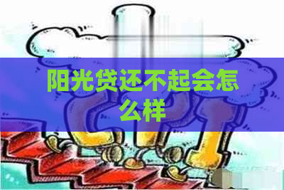 阳光贷还不起会怎么样