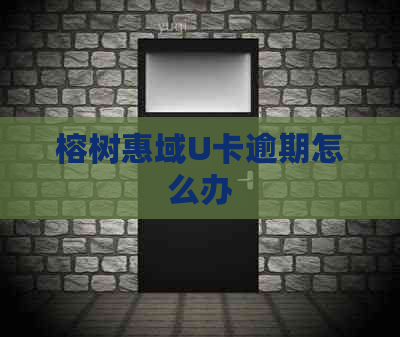 榕树惠域U卡逾期怎么办