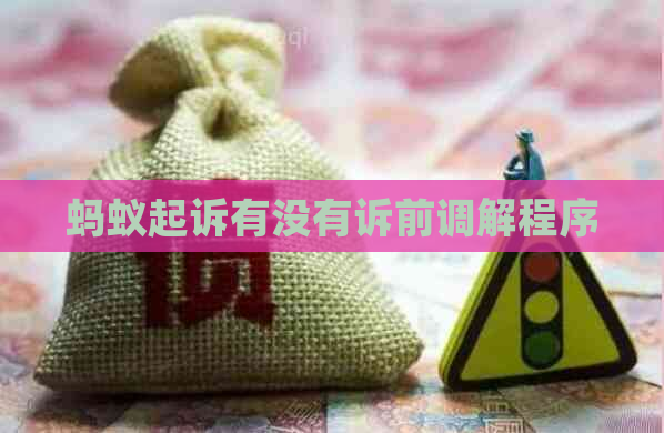 蚂蚁起诉有没有诉前调解程序
