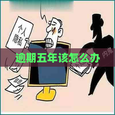 逾期五年该怎么办