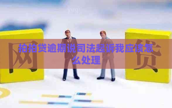 逾期说司法起诉我应该怎么处理