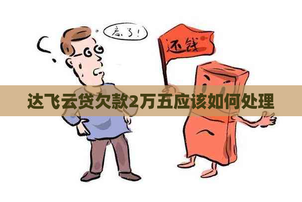 达飞云贷欠款2万五应该如何处理