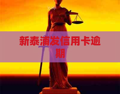 新泰浦发信用卡逾期