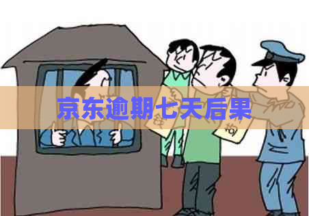 京东逾期七天后果