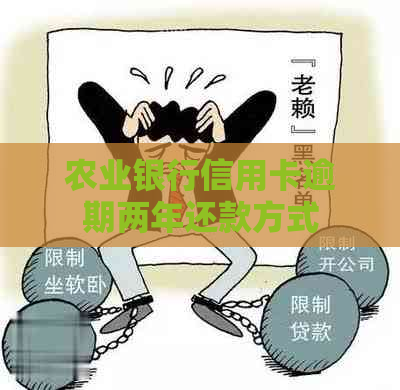 农业银行信用卡逾期两年还款方式