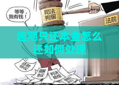 逾期只还本金怎么还如何处理