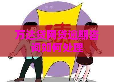 万达贷网贷逾期咨询如何处理