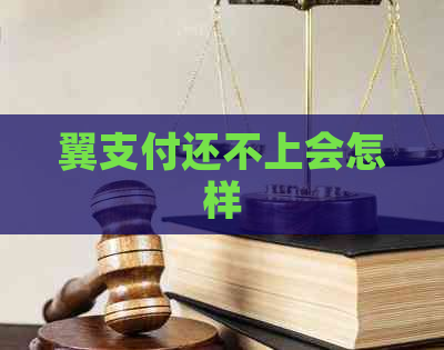 翼支付还不上会怎样