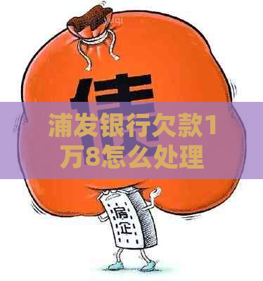 浦发银行欠款1万8怎么处理