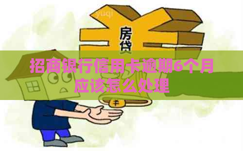 招商银行信用卡逾期6个月应该怎么处理