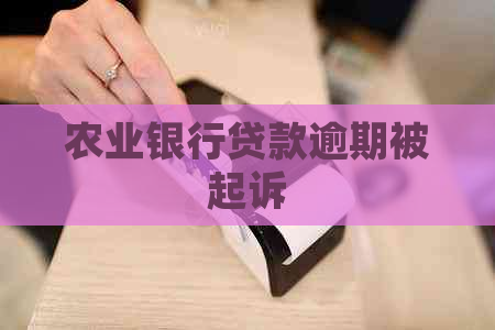 农业银行贷款逾期被起诉