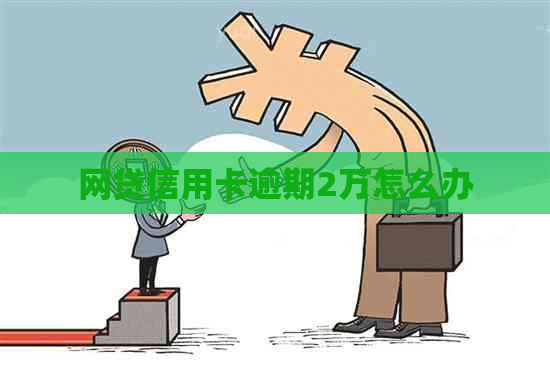 网贷信用卡逾期2万怎么办