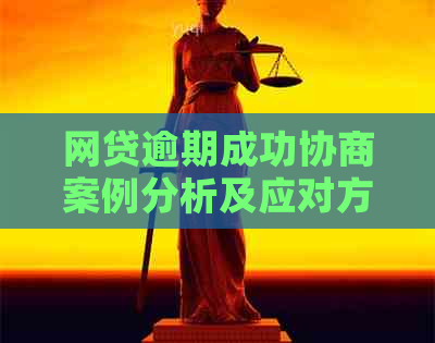 网贷逾期成功协商案例分析及应对方法