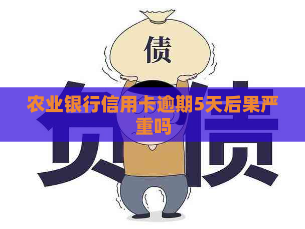 农业银行信用卡逾期5天后果严重吗