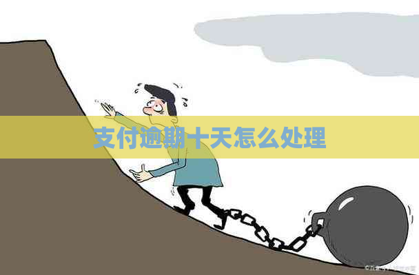 支付逾期十天怎么处理