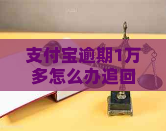 支付宝逾期1万多怎么办追回来