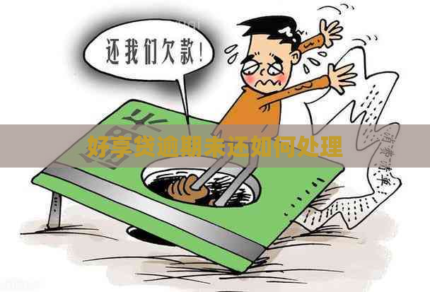 好享贷逾期未还如何处理
