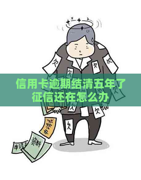 信用卡逾期结清五年了还在怎么办