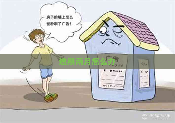 逾期两月怎么办