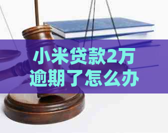 小米贷款2万逾期了怎么办