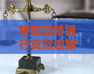 呼和浩特银行贷款逾期后的处罚措施