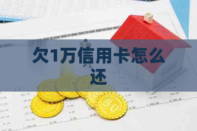欠1万信用卡怎么还