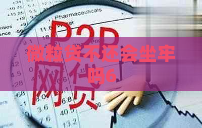 微粒贷不还会坐牢吗6