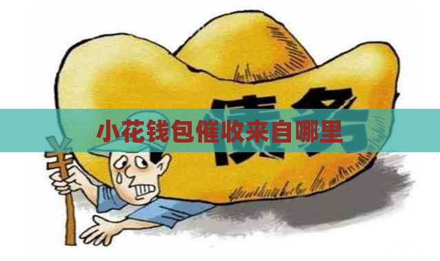小花钱包来自哪里