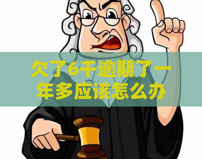 欠了6千逾期了一年多应该怎么办