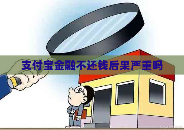 支付宝金融不还钱后果严重吗