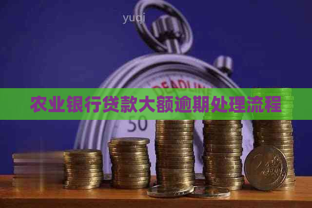 农业银行贷款大额逾期处理流程