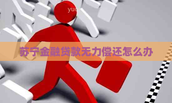 苏宁金融贷款无力偿还怎么办