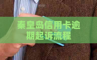 秦皇岛信用卡逾期起诉流程