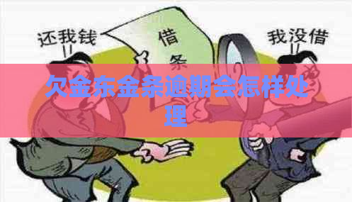 欠金东金条逾期会怎样处理