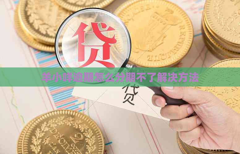 羊小咩逾期怎么分期不了解决方法