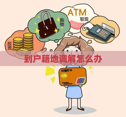 到户籍地调解怎么办