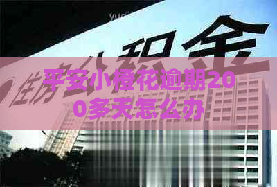 平安小橙花逾期200多天怎么办