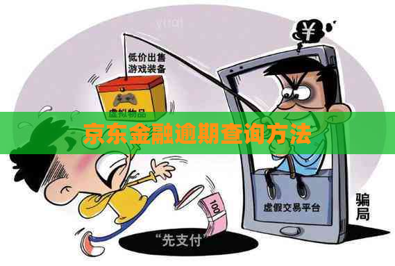 京东金融逾期查询方法