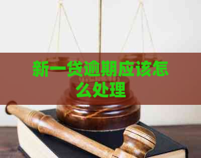 新一贷逾期应该怎么处理