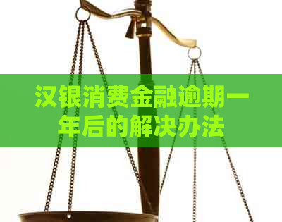 汉银消费金融逾期一年后的解决办法