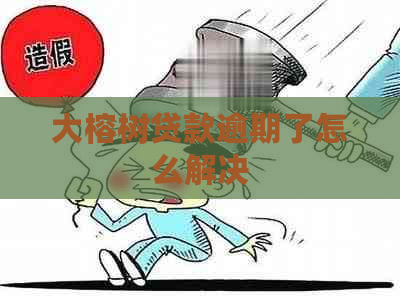大榕树贷款逾期了怎么解决
