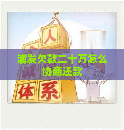 浦发欠款二十万怎么协商还款