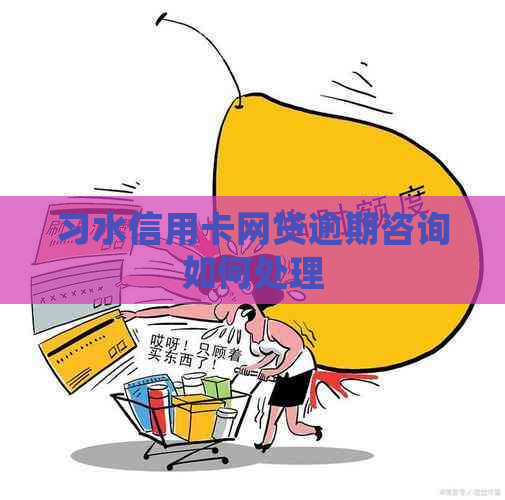 习水信用卡网贷逾期咨询如何处理